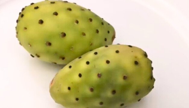 Cactus fruit