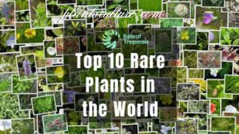 Rare Plants